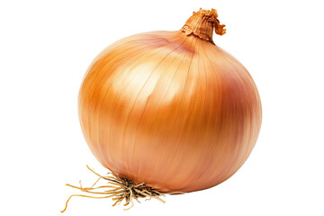 Single isolated golden brown onion with roots against a dark black background