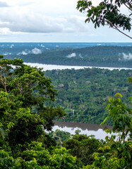 Lush green rainforest canopy with a wide river winding through. Mist rises from the trees under a cloudy sky. Serene landscape for travel, ecology, or nature themes.