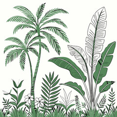 Tropical vintage botanical palm trees, banana tree, green plants floral seamless border white background. vector	