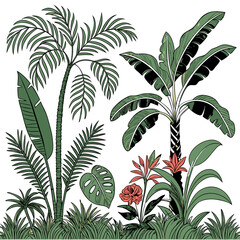 Tropical vintage botanical palm trees, banana tree, green plants floral seamless border white background. vector	