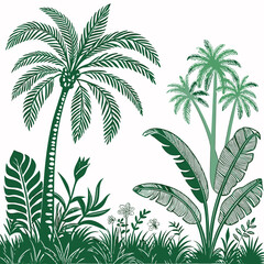 Tropical vintage botanical palm trees, banana tree, green plants floral seamless border white background. vector	