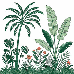 Tropical vintage botanical palm trees, banana tree, green plants floral seamless border white background. vector	