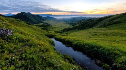 Fototapeta premium A stunning view captures the early morning light illuminating a vast valley filled with lush green vegetation. A clear stream gently flows through the landscape, surrounded by hills