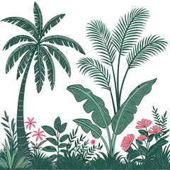 Tropical vintage botanical palm trees, banana tree, green plants floral seamless border white background. vector  © Designer As HasiB