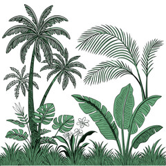 Tropical vintage botanical palm trees, banana tree, green plants floral seamless border white background. vector	