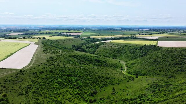 Aerial shot flying over Cranbourne Chase scenery in summer