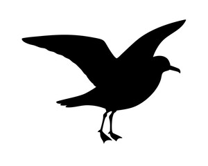 Naklejka premium Sea Gull Silhouette Vector - Coastal Bird Icon Isolated on White