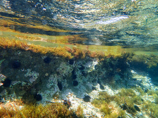 Ocean blue underwater with sunrays, Underwater Sea Deep Water Abstract Sunshine, sea wave , clean...
