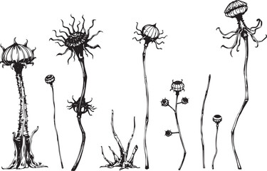 Set of plants and flowers. Hand drawn vector illustration