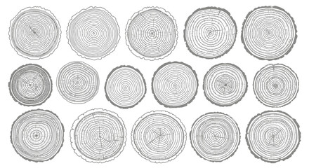 Collection of Tree Rings Cross-Section Illustrations of Wood Grain