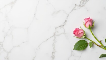 Fresh pink roses on marble background with natural lighting  