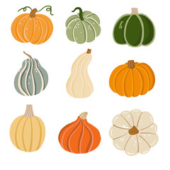 Set of colorful pumpkins in various shapes and sizes. Hand-drawn digital clipart perfect for autumn design, harvest decoration, Thanksgiving invitations, and seasonal packaging. Isolated on white.
