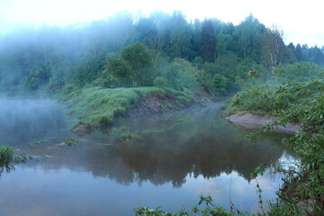 The river bank at the confluence in the morning in the fog in summer
