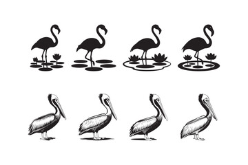 Flamingo Pelican Bird Vector Art