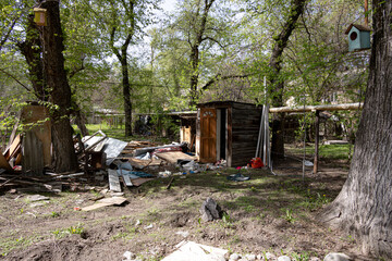 Messy backyard with scattered debris, wooden shed, and birdhouses hanging from trees in spring