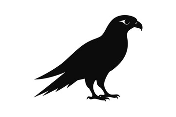Fototapeta premium silhouette vector illustration of a falcon.eps