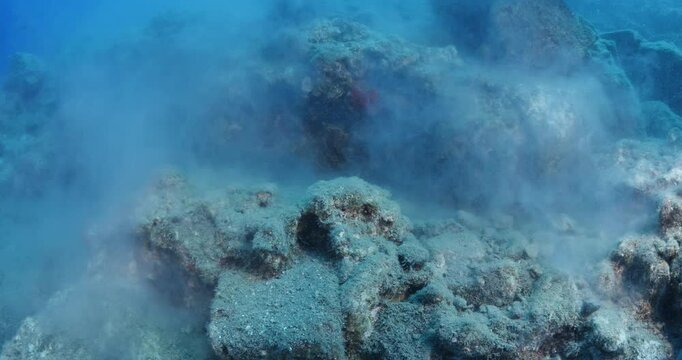 sponge spawning underwater from rocks behaviour ocean scenery in nature mediterranean sea