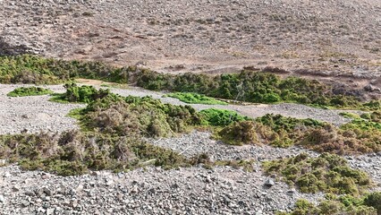 volcanic arid landscapes with trils, cliffs, and scattedred vegetation.