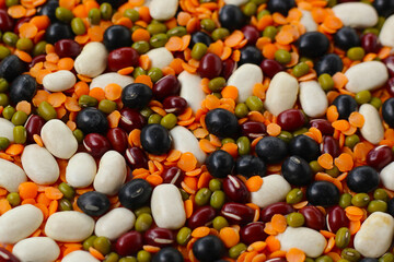 Colorful mixed beans and lentils, packed with plant-based protein and fiber