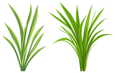 Obraz premium PNG Vibrant green grass illustration, element set on transparent background