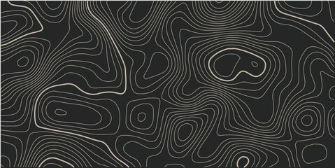 Topographic map. Actual topography map. Dark seamless design, fancy tileable isolines pattern. Vector illustration.