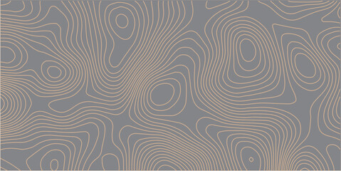 Fototapeta premium Abstract gray topography contour map background design .geometric black wave curve lines texture .abstract topographic map with wave line pattern .