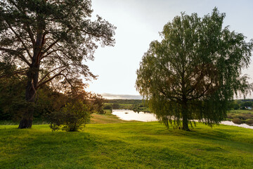 Serene countryside view featuring a grassy meadow and tall trees