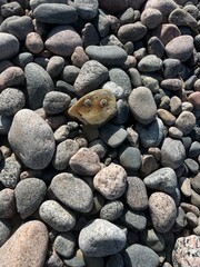 stones on the beach