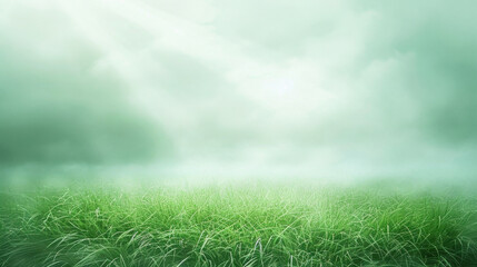Serene landscape featuring lush green grass under misty sky, with sunlight filtering through clouds, creating tranquil atmosphere