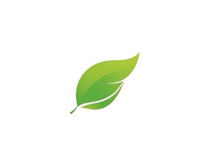 leaf logo on White BackgrounD