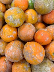 oranges in a market