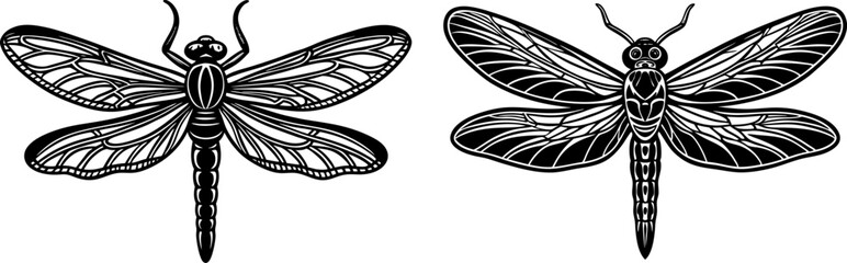 A dragonfly with transparent wings, isolated on a white background