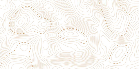 Abstract topographic map background Vector.  wallpaper design for fabric , packaging , web, geographic grid map vector illustration.