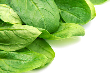 Spinach on a white background