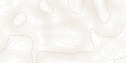 Topography wave line grid map. white wave line geography landscape Topo contour map on white background. Geographic mountain relief diagram line wave carve pattern