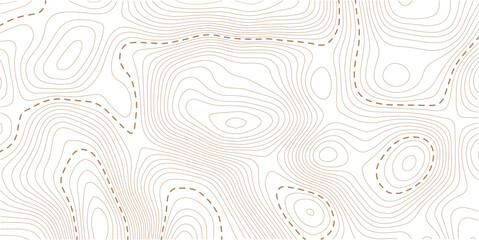 Topography wave line grid map. white wave line geography landscape Topo contour map on white background. Geographic mountain relief diagram line wave carve pattern
