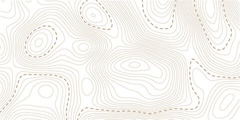 Topography wave line grid map. white wave line geography landscape Topo contour map on white background. Geographic mountain relief diagram line wave carve pattern