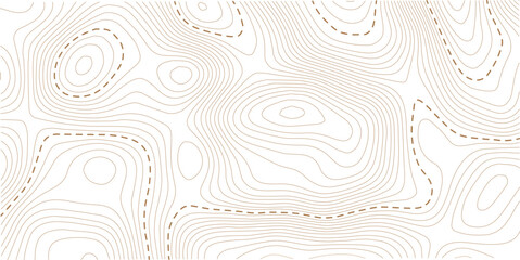 Topography wave line grid map. white wave line geography landscape Topo contour map on white background. Geographic mountain relief diagram line wave carve pattern