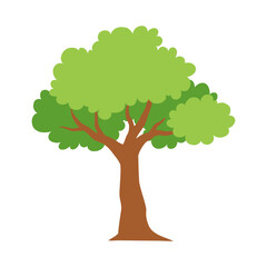 Illustration of a tree with green leaves and a brown trunk on a white background