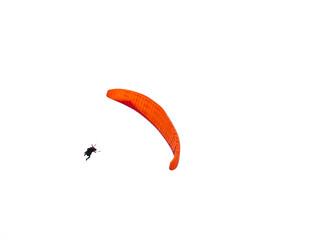 Paragliding near Monte Blanc Massif, Chamonix, France, Europe	