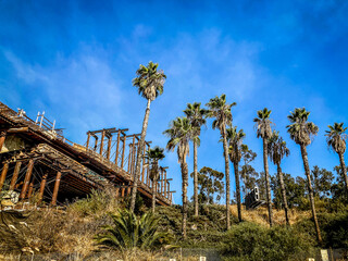 palms trees and construction with a blue sky