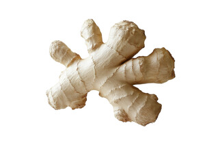 Fresh Ginger Root, a Natural Spice for Cooking and Health Benefits in Culinary Settings on transparent background