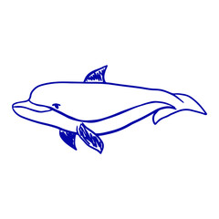Blue dolphin drawing. Line art sea animal vector illustration.