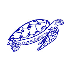 Simple turtle sketch trendy design. Sea turtle hand drawn vector illustration.
