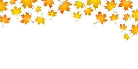 Autumn maple leaves falling across the top of the frame. Gradient yellow and orange colors. Fall season concept.