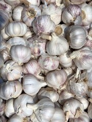 Fresh white garlic. Young garlic on a market table close-up. Image of spicy culinary ingredient, recipe, seasoning. Heap of white garlic heads.