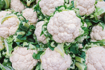 White cauliflower heads with green leaves arranged in pile at fresh produce market