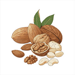 Nuts Vector
