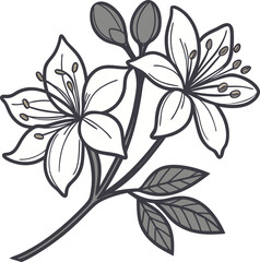 Burflower outline icon on transparent background
