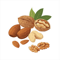 Nuts Vector